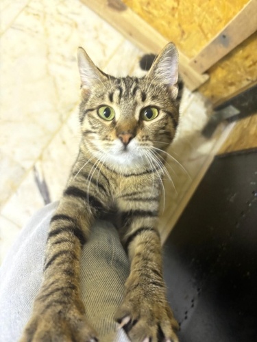 Sıradan Değil Bambaşka, Tanışınca Aşık Olacaksınız fotoğraf