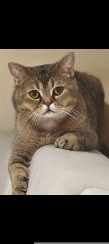 Uysal oğluma yuva arıyorum fotoğraf