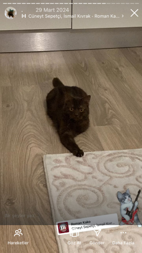 Cofffe choclete fotoğraf