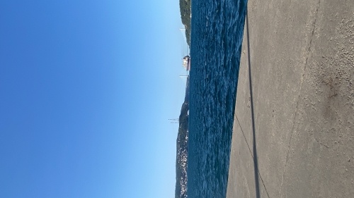 ACİL TEK AYAĞI OLMAYAN MİNİK TEKİRE YUVA fotoğraf