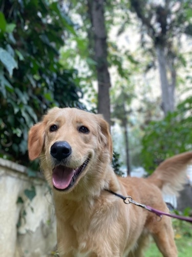 9 aylık bebeğe ömürlük yuvasını arıyoruz fotoğraf