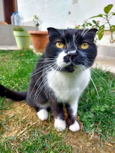 Vazgeçilen masum çocuk fotoğraf