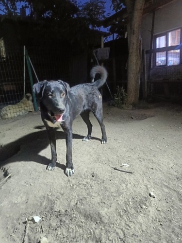 Ömür törpüsü kız fotoğraf