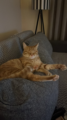 Behlül çok tatlı ve bal gibi gözleri var fotoğraf