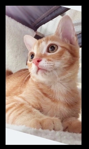 Çok yakışıklıyım. fotoğraf