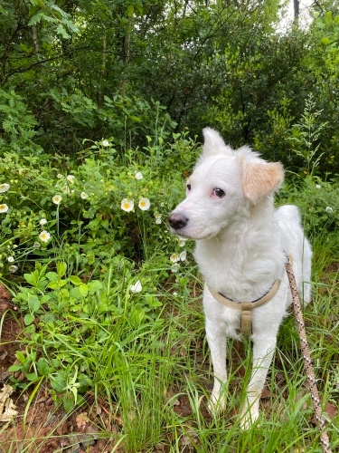 LÜTFEN AÇIKLAMAYI OKUYUNUZ fotoğraf