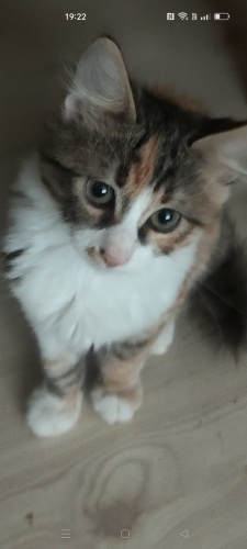 Baca boşluğunda 7 gün yaşam savaşı vermek fotoğraf