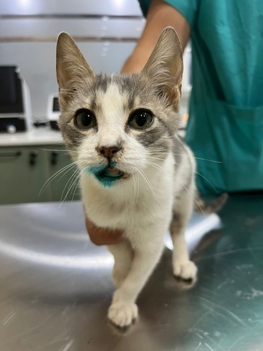 onu alan yaşadı😊 fotoğraf