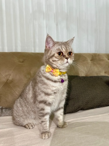 MAYA VE RIFKIYA ÖMÜRLÜK YUVA fotoğraf