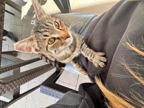 AŞŞŞIRI İNSANCIL RAŞİT ❤️ fotoğraf