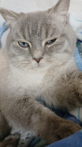 Ömürlük yuvamı arıyorum fotoğraf