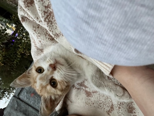 Sevmeye sevilmeye aşık 🥺 fotoğraf