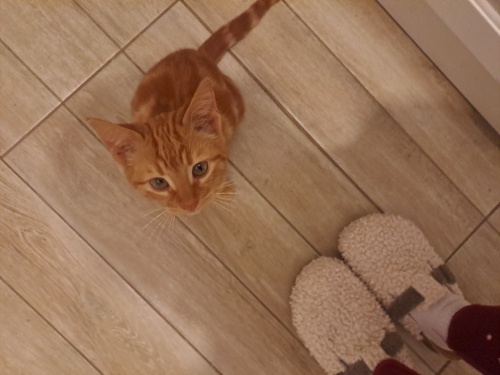 Alkah ruzasi ucin bu çocuğa yuva.yoksa sokağa dönecek fotoğraf