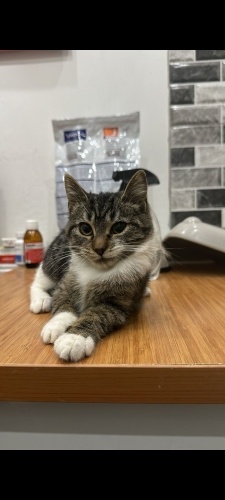 2 aylık bebeğe ömürlük yuva fotoğraf