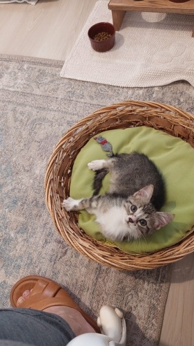 Kendiyle mutlu barışık oyuncu naif ve hiç miyav sesi bağırması olmayan bir çocuk fotoğraf