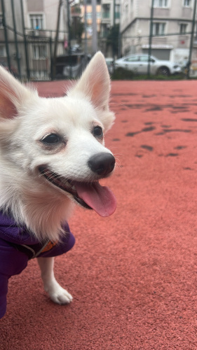 güzeller güzeli kızımıza yuva fotoğraf