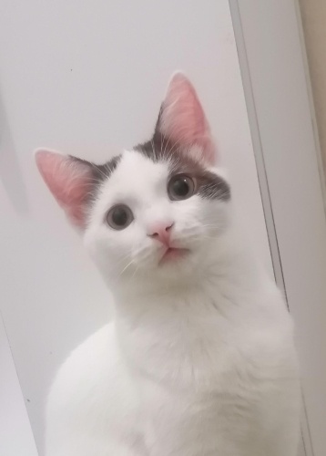 Yakışıklı Kahve'm. fotoğraf