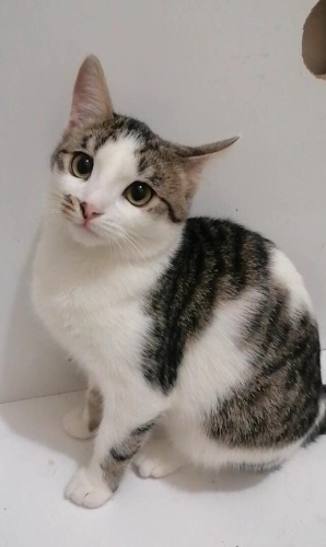 Güzeller güzeli kız çocuğu fotoğraf