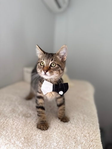 KUZEY YUVA ARIYOR fotoğraf