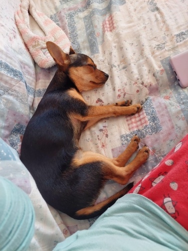 Acil kızımıza yeni yuva arıyoruz fotoğraf