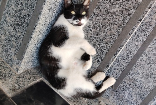 APARTMANDA İSTENMİYOR fotoğraf