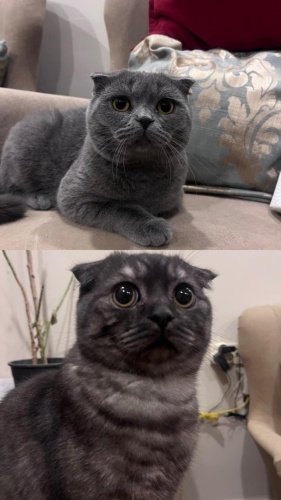 3 gün süreleri kaldı acilll fotoğraf