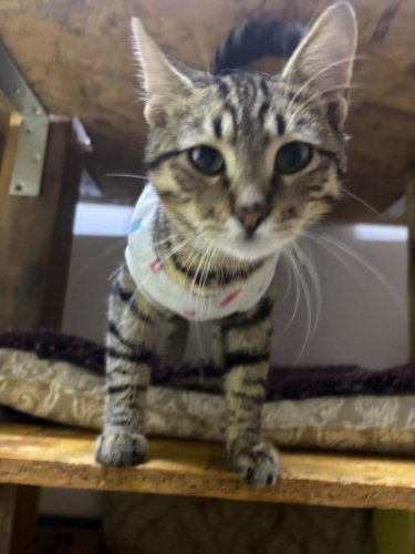 Şanslı Kişisi Olun fotoğraf