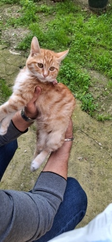 Yüki bebek çmürlük yuvasını arıyor fotoğraf