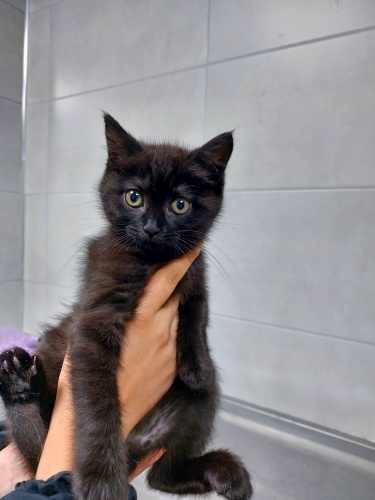 Terkedilmiş oğlan ve annesi fotoğraf