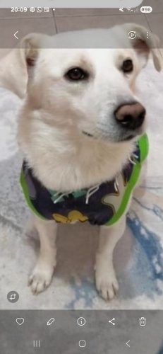 Ev de bakıldı sahibi sokağa attı fotoğraf