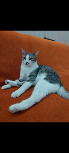 Güzel kızımıza ömürlük yuva fotoğraf