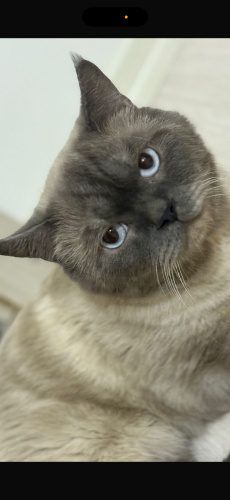 Lokumu bi Tanımanız lazım ♥️ fotoğraf