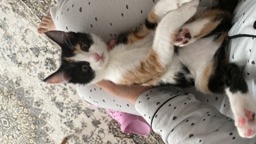 Annesi terk etti ama hayata tutundu fotoğraf