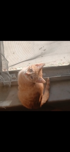 Cennet Kokusu Üzerinde fotoğraf