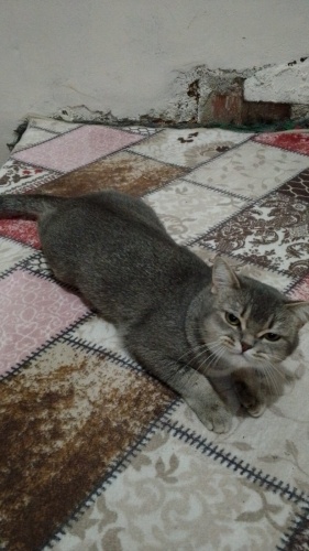 Hürreme yuva olun fotoğraf