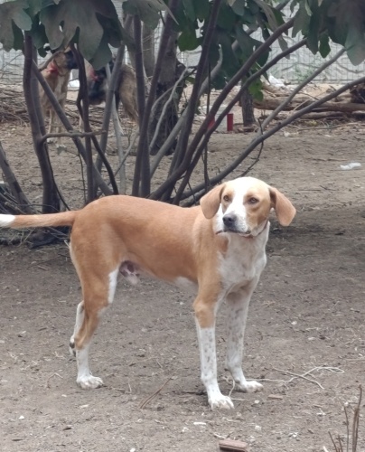 Şanslının sansı olacak ailesini arıyoruz fotoğraf