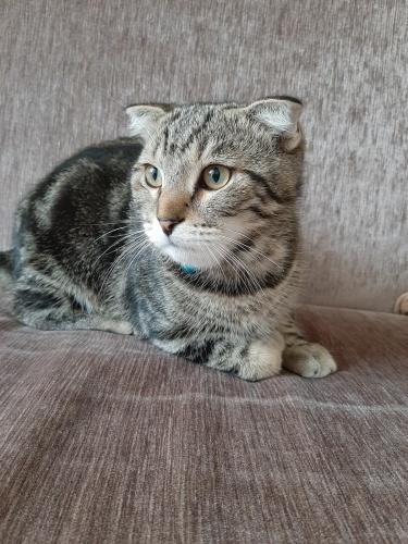 Acil yeni yuva aramaktayım fotoğraf