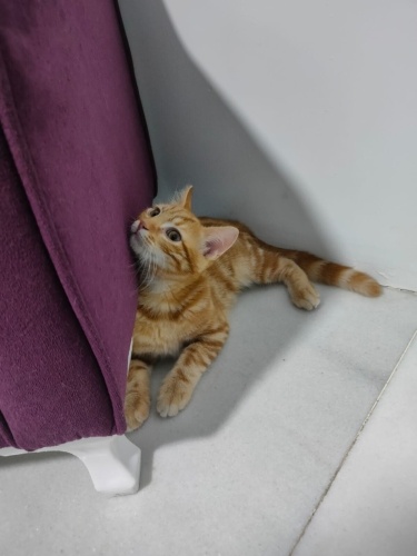 SON ŞANSI OLUN.... fotoğraf