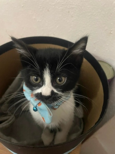 Alican’a ömürlük yuva fotoğraf