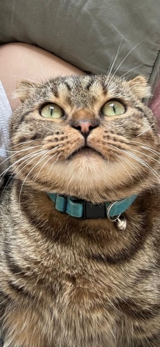 Bitter'imize yuva arıyoruz fotoğraf