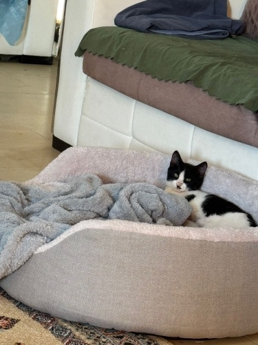 Oyuncu kucak delisi yumurcak💕 fotoğraf