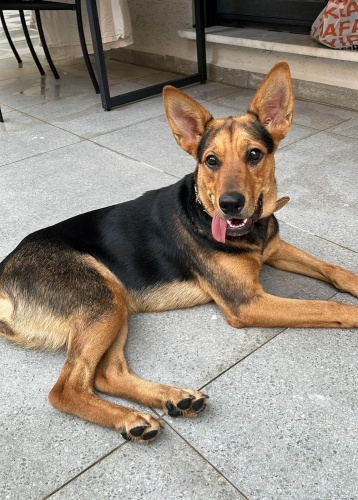 AKIL KÜPÜ GÜZEL KIZ💜 fotoğraf