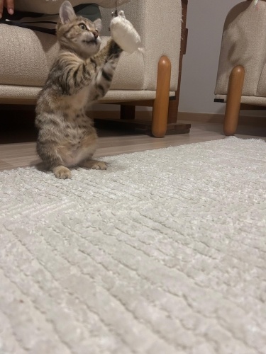 Sevgi dolu kızıma yuva olur musunuz🥺 fotoğraf