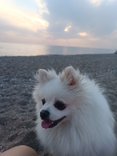 Güzel kızım deyzi fotoğraf