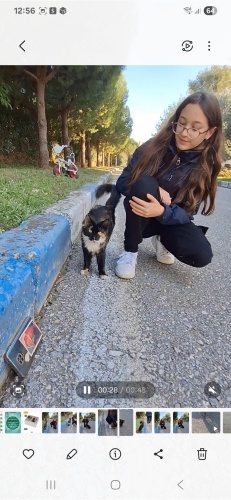 Sıcacık güvenli bir yuva fotoğraf