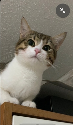 Dert ortağım güzel oğluşum fotoğraf