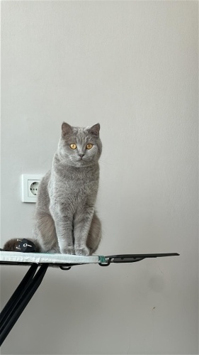 Boncuğum akıllı sevimli güzel kızım fotoğraf