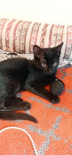 O tam bir kucak bebeği fotoğraf