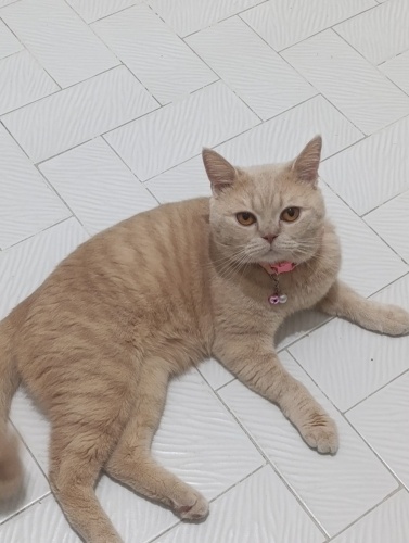 Acil yuva istenmiyor fotoğraf