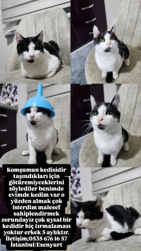 Onu görünce Müşteri hizmetleri aklıma geliyor cok tatli fotoğraf